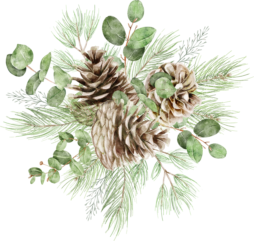 Watercolor pine cone bouquet, winter wedding invitation decoration, eucalyptus clipart, dry flowers, botanical arrangement